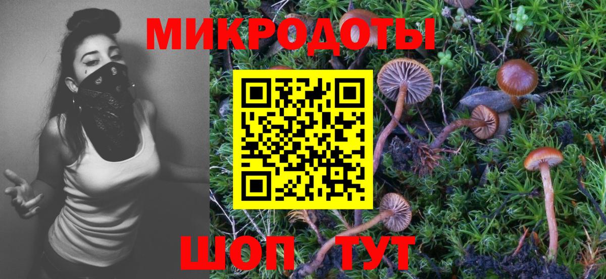 Галлюциногенные грибы Psilocybine cubensis  Вход с VPN  Псилоцибиновые грибы Psilocybine cubensis  Томск 