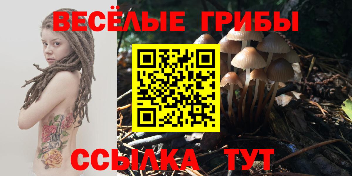 Галлюциногенные грибы Magic Shrooms Томск